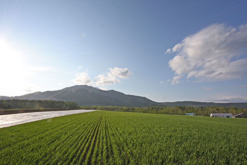 Hokkaido Real Estate