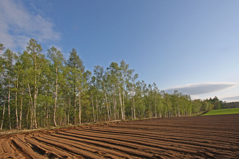 Hokkaido Real Estate